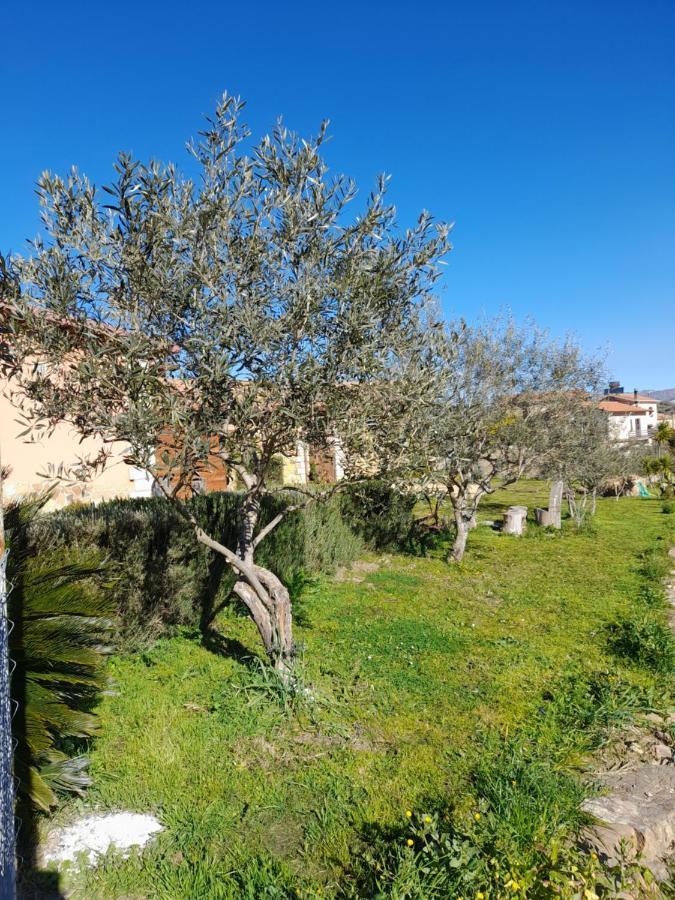 Agriturismo La Stragola Nicosia Buitenkant foto