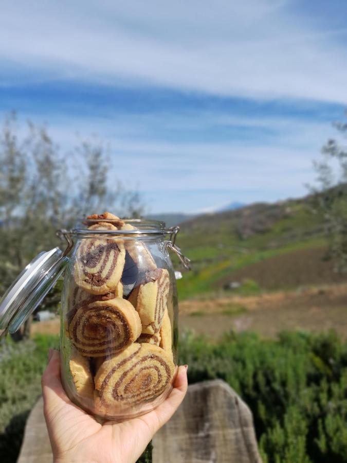 Agriturismo La Stragola Nicosia Buitenkant foto